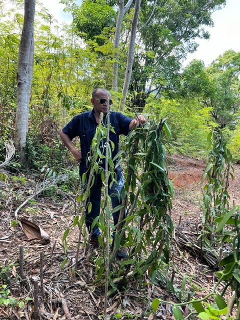 Field visit in Nosy-Be