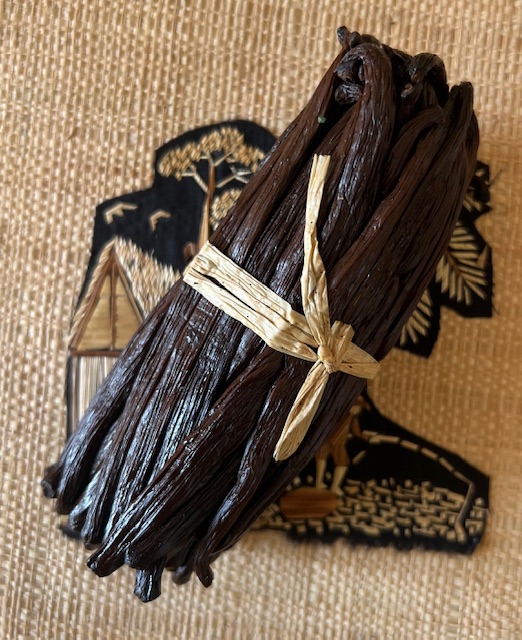 Vanille TK (Noir) — 10–13 cm