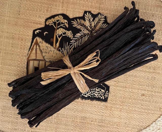 Vanille TK (Noir) — 16 cm