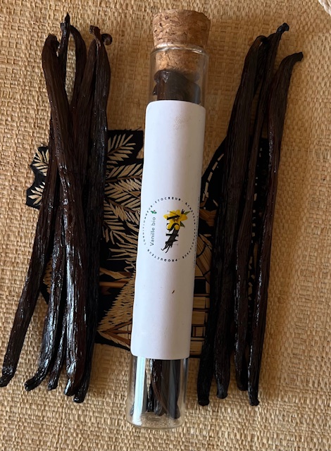 Vanille TK (Noir) — 14–15 cm